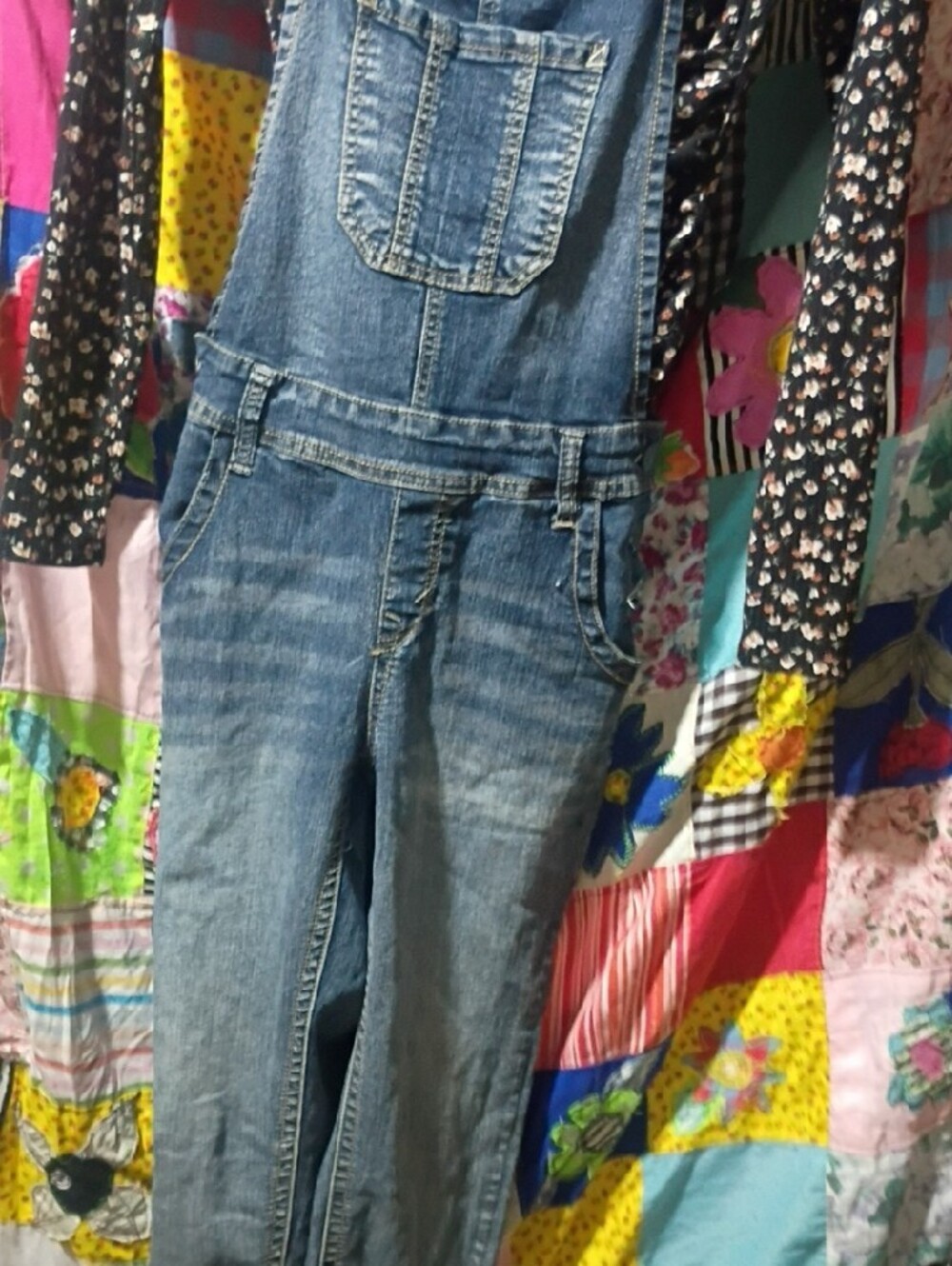 Wallflower Blue Denim Overalls